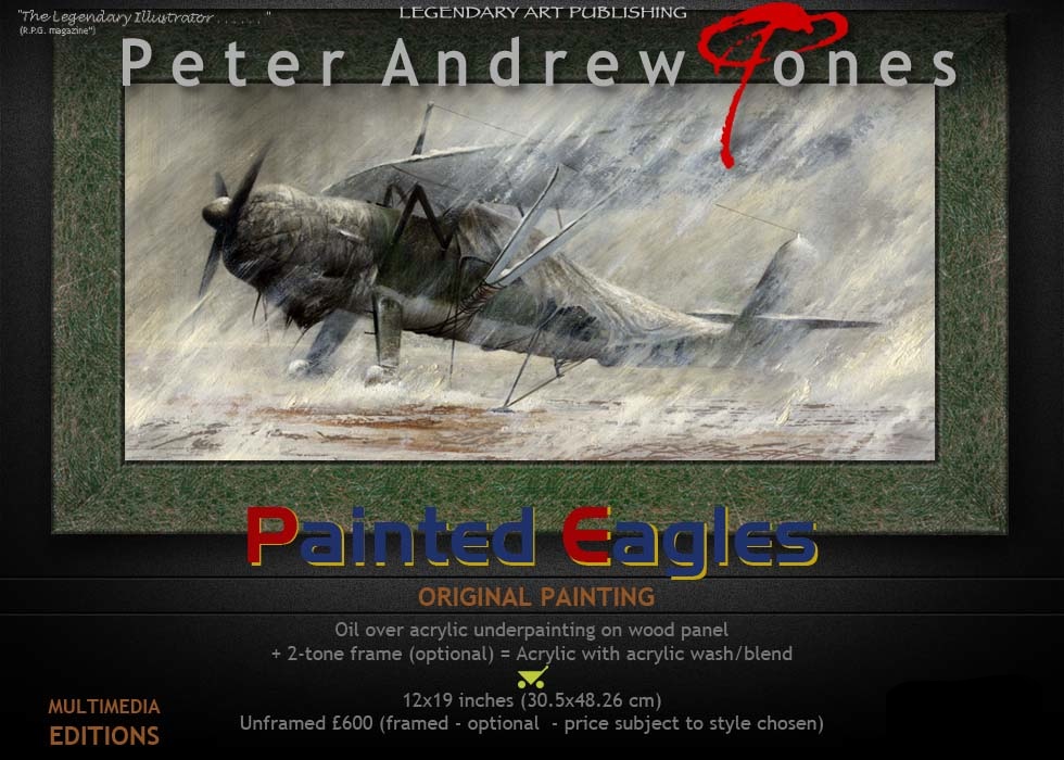 Peter Andrew Jones Wings of Fire Aviation Art Luftwaffe Henschel 126
